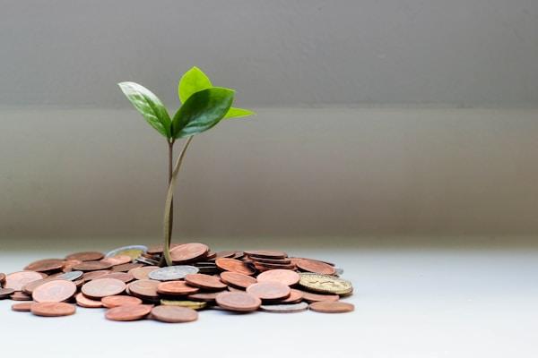 How Much Does Title Insurance Cost in Florida?